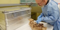 L’UdeS, maître dans l’art de la plastination