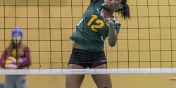 Dix matchs en cinq semaines pour la deuxième portion de la saison du Vert & Or
