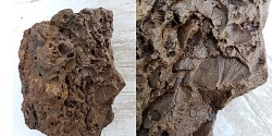 Nouveau cours d'introduction à la géologie