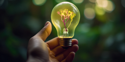 « Se faire innover », des petits pas dans une grande direction