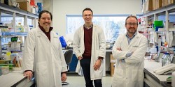 Développement d’un test rapide pour le cancer de la vessie
