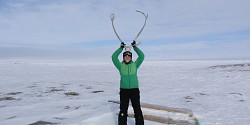 Les satellites à la rescousse du caribou