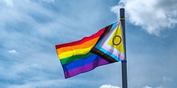 LGBTQ+ UdeS lance sa Biblioqueer!