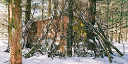 Concours interuniversitaires de photographie et de bande dessinée