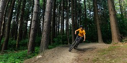 Deux nouveaux sentiers de vélo de montagne écoresponsables assurent désormais la connexion au campus