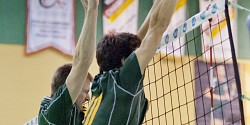 Le Vert & Or partage les honneurs face aux Carabins