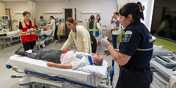 Pleins feux sur les simulations à grand déploiement en sciences infirmières