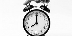 Conférence-midi sur la procrastination
