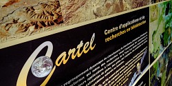 Augmenter l’employabilité des professionnelles et professionnels en observation de la Terre