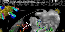 Construire sur le savoir étudiant pour combattre l’influenza et la COVID-19