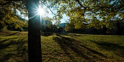 Connaissez-vous l’Équipe-conseil en matière de respect des personnes?