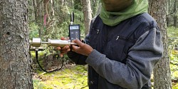 Campagne de terrain <em>Soil Moisture Active Passive Validation Experiment 2022 in Boreal Forest </em>