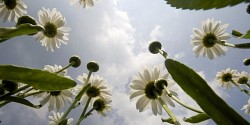 Horaire d'été du 12 mai au 10 août 2013  - Réduction de la semaine régulière de travail