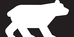 Ne pensez pas à l'ours blanc