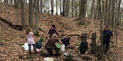 La demande officielle de réserve naturelle déposée