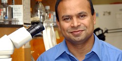 Une idée innovante du Pr Subburaj Ilangumaran reçoit l’appui de la Société canadienne du cancer