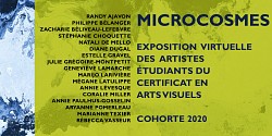 <em>Microcosmes</em>, une exposition virtuelle proposée par les artistes étudiants du certificat en arts visuels