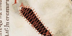 <em>On Parchment. Animals, Archives, and the Making of Culture from Herodotus to the Digital Age</em> de Bruce Holsinger