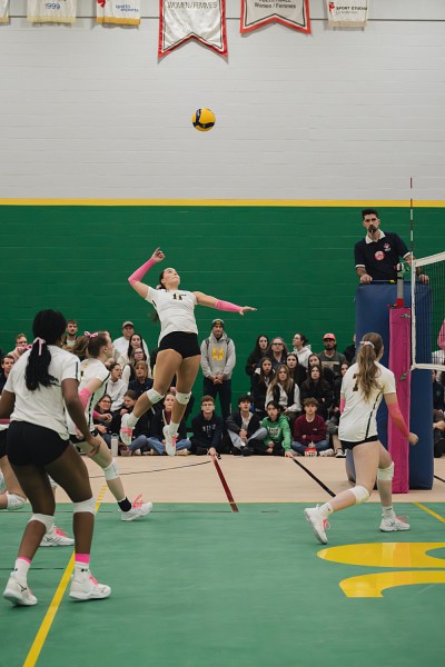 La recrue B&eacute;atrice Dubreuil figure pr&eacute;sentement au premier rang du classement des meilleures marqueuses du RSEQ au terme de la premi&egrave;re moiti&eacute; de la saison de volleyball universitaire.