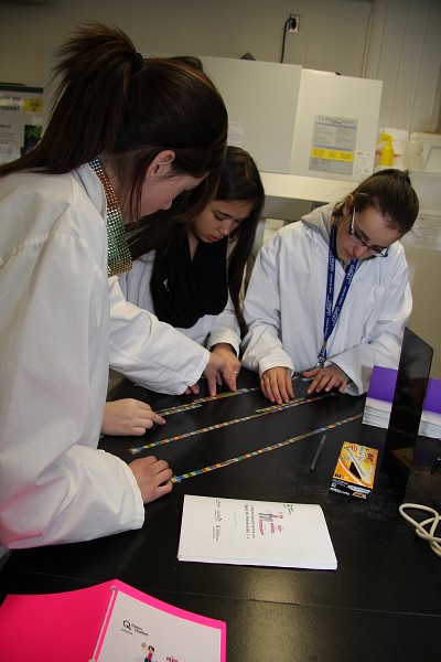 Alerte bact&eacute;rienne au C&eacute;gep de Sherbrooke!, atelier en biochimie de la sant&eacute;!