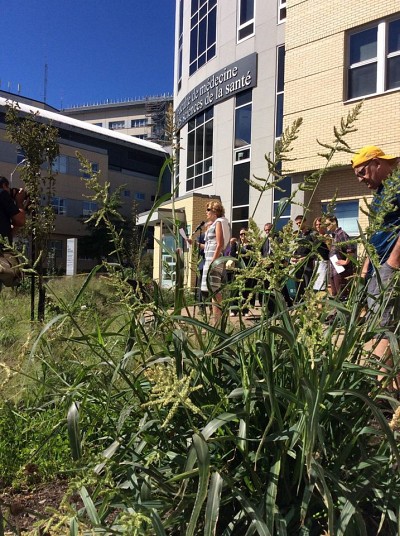 Le Jardin Zen 7, un nouvel espace vert au Campus de la sant&eacute;.