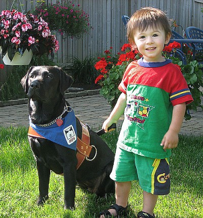 Les chiens-guides de la fondation MIRA sont bien connus pour changer la vie de plusieurs personnes non voyantes. Désormais, des chiens accompagnateurs jouent maintenant un rôle important pour aider les familles d'enfants autistes.