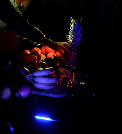 Exp&eacute;rimentation du&nbsp;