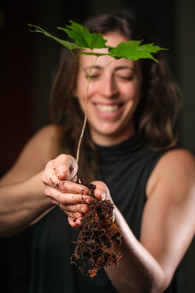 Au Qu&eacute;bec, nous avons la chance d&rsquo;avoir de l'&eacute;rable &agrave; sucre, qui nous offre chaque ann&eacute;e le pr&eacute;cieux sirop d'&eacute;rable.