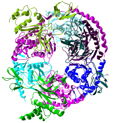 Repr&eacute;sentation sch&eacute;matis&eacute;e de l'exosome.