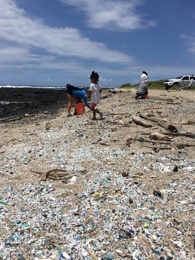 Plage Kamilo &agrave; Hawa&iuml;, envahie par des d&eacute;chets de plastique