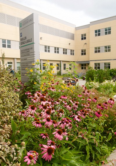 Des jardins collectifs agr&eacute;mentent tous nos campus.