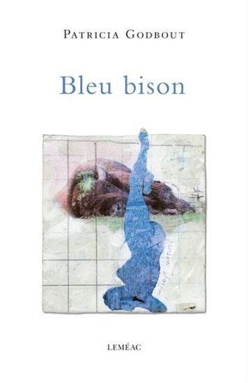 GODBOUT, Patricia, Bleu bison, Lem&eacute;ac &Eacute;diteur, Montr&eacute;al, 2017, 128 pages.