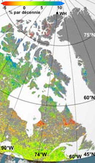 Figure 1. &Eacute;volution de l&rsquo;indice spectral normalis&eacute; de v&eacute;g&eacute;tation (NDVI) sur le transect &eacute;tudi&eacute; au Nord-Est du Canada (en pourcentage par d&eacute;cennie) d&eacute;riv&eacute;e des images satellites.