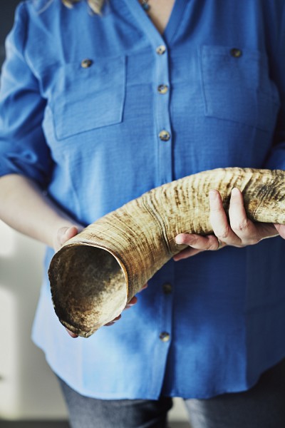 Corne de mouflon. Un&nbsp;projet de recherche de Pre Pelletier a r&eacute;v&eacute;l&eacute; que les cornes du mouflon d&rsquo;Am&eacute;rique r&eacute;tr&eacute;cissaient et que ce changement g&eacute;n&eacute;tique &eacute;tait en partie imputable &agrave; la chasse au gibier troph&eacute;e.