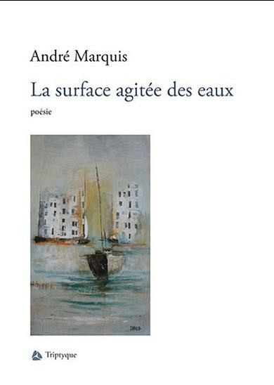 La surface agit&eacute;e des eaux, Montr&eacute;al, &Eacute;ditions Tryptique, 2015, 97 p.