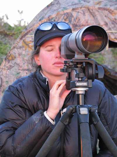 No&eacute;mie Laplante a r&eacute;alis&eacute; son essai en collaborant avec un biologiste du minist&egrave;re des For&ecirc;ts, de la Faune et des Parcs.