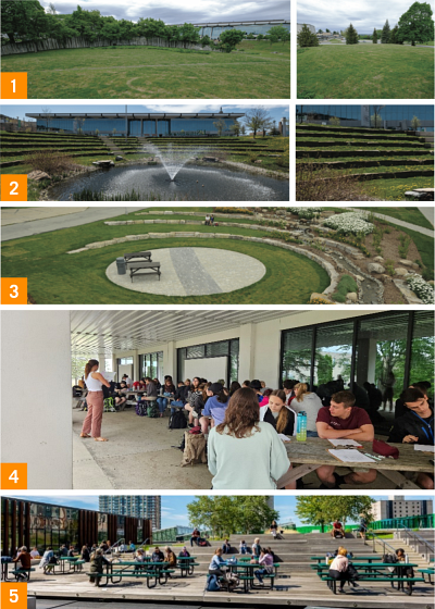 1.&nbsp;L&rsquo;Exp&eacute;rimentale, 2.&nbsp;Le Th&eacute;&acirc;tre, 3.&nbsp;La Cr&eacute;ative, 4.&nbsp;Le pr&eacute;au attenant &agrave; l&rsquo;&Eacute;cole de musique, 5.&nbsp;Au Campus de Longueuil, l&rsquo;Oasis offre un lieu propice &agrave; des enseignements ext&eacute;rieurs. Un jardin communautaire et des&nbsp;arbres l&rsquo;agr&eacute;mentent.