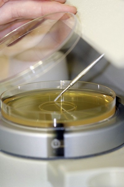 Val&eacute;rie a particip&eacute; activement &agrave; un projet de recherche et d&eacute;veloppement qui avait pour principal objectif d&rsquo;optimiser la stabilit&eacute; des ferments lactiques lyophilis&eacute;s.