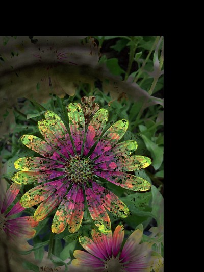 R&eacute;alisation effectu&eacute;e par un des &eacute;l&egrave;ves de TI en herbe&nbsp;