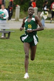 F.Buzingo, kinésiologie