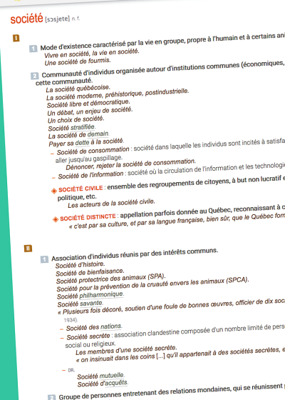 D&eacute;finition du mot &laquo;&nbsp;soci&eacute;t&eacute;&nbsp;&raquo;.