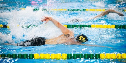 Performance remarquable du Vert & Or au Championnat provincial de natation