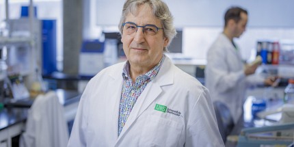 Comment nos cellules protègent leur ADN… et ce que la levure nous apprend sur le vieillissement