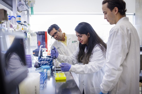 Taha Azad with the remainder of his student team, co-authors of the article, Zahra Ameli (MSc student) and Gabriel St-Laurent (PhD student), who helped purify and characterize the new cytokine-armed viruses.