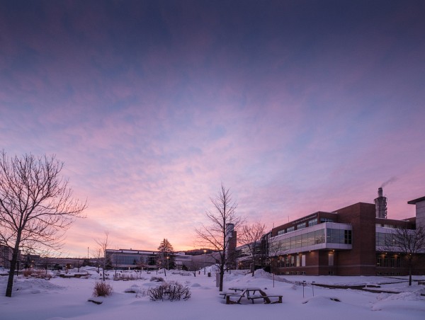 Les succ&egrave;s de l'UdeS en d&eacute;veloppement durable&nbsp;reposent sur l'int&eacute;gration de ces principes &agrave; l&rsquo;ensemble de ses activit&eacute;s et sa communaut&eacute;.