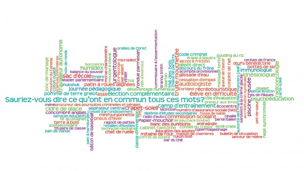 Le nuage de mots ci-dessus met en lumi&egrave;re des termes utilis&eacute;s dans notre contexte en usage au Qu&eacute;bec, qui ne se retrouvent pas dans les ouvrages fran&ccedil;ais.