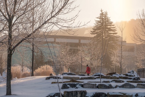 L'UdeS et ses campus repr&eacute;sentent un v&eacute;ritable laboratoire de d&eacute;veloppement durable, branch&eacute; sur les enjeux globaux port&eacute;s par les ODD.