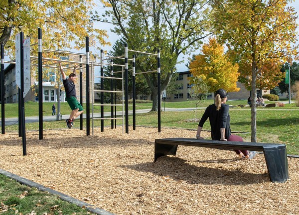 La station d'entra&icirc;nement situ&eacute;e dans le Coeur Campus, comme celle situ&eacute;e derri&egrave;re l'&Eacute;cole de musique, permet la pratique de la callisth&eacute;nie, o&ugrave; l'on utilise le poids de son corps pour s'entra&icirc;ner.