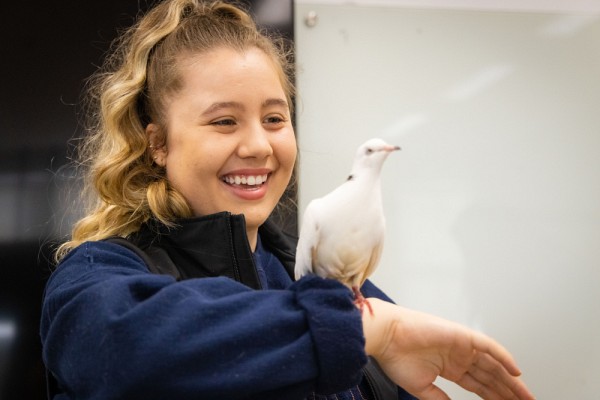 La zooth&eacute;rapie &eacute;tait &agrave; l'honneur lors de la Semaine de la joie qui s'est tenue &agrave; la Facult&eacute; de m&eacute;decine et des sciences de la sant&eacute; en novembre dernier.