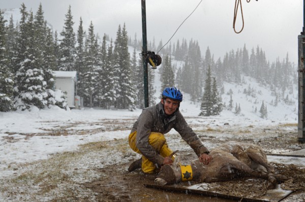 Mathieu Douhard, chercheur post-doctoral, &agrave; Ram Mountain, en Alberta.